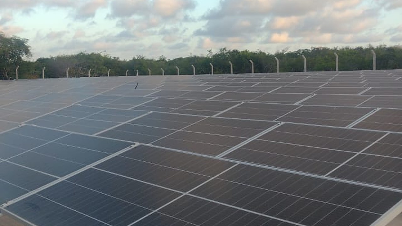Fileira de painéis solares da usina da Solar Maranhão ao fim da tarde, com a vegetação e o céu nublado ao fundo
